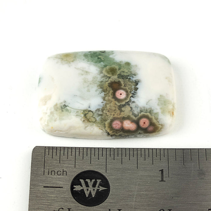 jasper cabochon