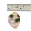 A polished oval shaped jasper stone cabochon with concentric bands of green, white, and peach, shown below a metal ruler for scale on a white background.