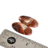 pair of agate cabochons for jewelry making