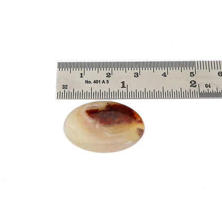 An oval agate cabochon gemstone with a marbled pattern of cream, beige, and dark red shown next to a metal ruler for scale on a white background.