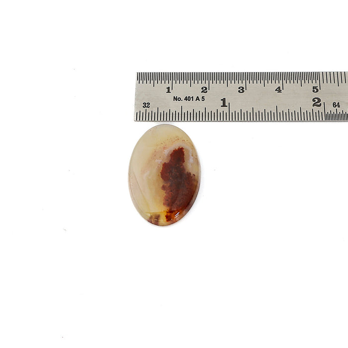 An oval agate cabochon gemstone with colors of cream, brown, and reddish tones, shown next to a metal ruler for scale on a white background.