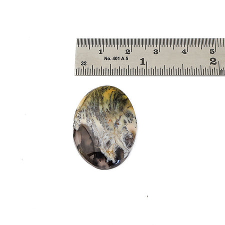 A polished oval dendritic opal cabochon gemstone with a marbled pattern of yellow, gray, and dark brown, shown below a metal ruler for scale on a white background.