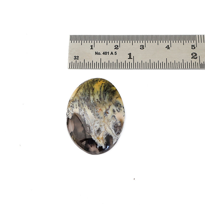 A polished oval dendritic opal cabochon gemstone with a marbled pattern of yellow, gray, and dark brown, shown below a metal ruler for scale on a white background.