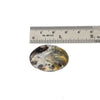 An oval  dendritic opal cabochon gemstone with a marbled pattern of gray, white, black, and yellow, shown below a metal ruler for scale on a white background.
