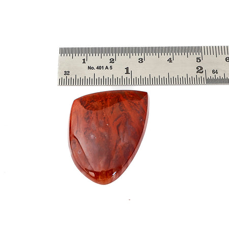 A polished red agate cabochon shown below a metal ruler on a plain white background, with the ruler included for size reference.