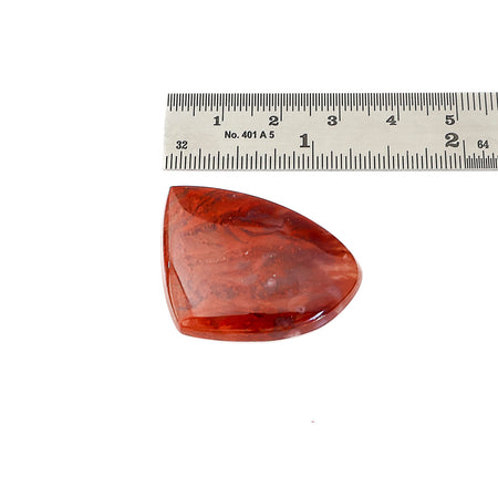 A polished red agate gemstone cabochon  shown below a metal ruler for scale on a white background.