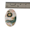 An oval polished agate cabochon gemstone with concentric circular banding in cream, peach, green, and gray, shown next to a metal ruler for scale on a white background.