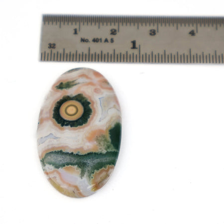An oval polished agate cabochon gemstone with concentric circular banding in cream, peach, green, and gray, shown next to a metal ruler for scale on a white background.