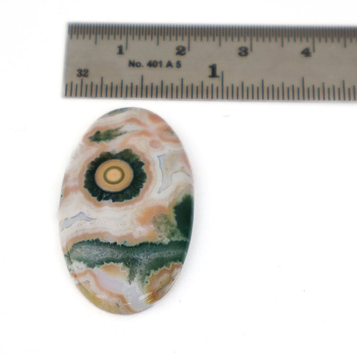 An oval polished agate cabochon gemstone with concentric circular banding in cream, peach, green, and gray, shown next to a metal ruler for scale on a white background.