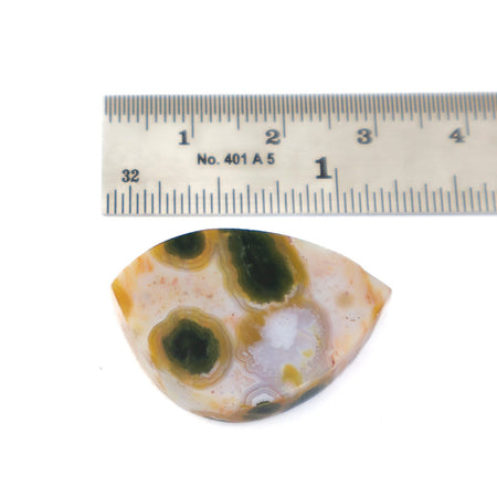 A oval shaped jasper cabochon with natural  patterns of green, cream, and orange, shown below a metal ruler for scale on a white background.