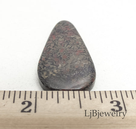 dino fossil bone cabochon